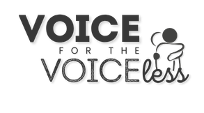 LSL Education Group - Charity Carnival - Voice for the Voiceless
